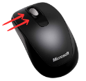 souris dcg